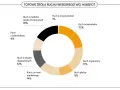 Wykres kołowy pokazuje źródła ruchu webowego. Ruch organiczny stanowi 17%, a ruch bezpośredni 22%.