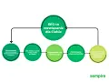 Diagram pokazuje, jak pozycjonować firmę w internecie. Odpowiedzi na pytania o ruch, widoczność w Google i konkurencję prowadzą do wniosku, że SEO to rozwiązanie.