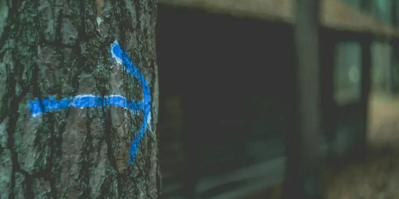 Niebieska strzałka na korze drzewa wskazuje drogę, jakby to był tymczasowy przekierowanie 302 w lesie.