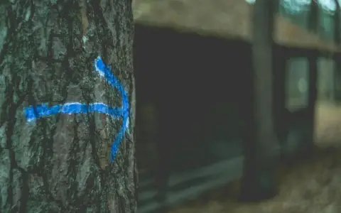 Niebieska strzałka na korze drzewa wskazuje drogę, jakby to był tymczasowy przekierowanie 302 w lesie.