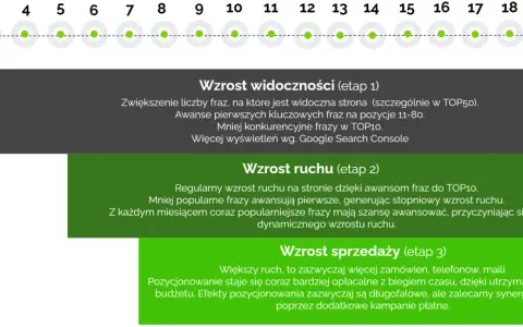 Schemat etapów pozycjonowania organicznego: wzrost widoczności, ruchu i sprzedaży.