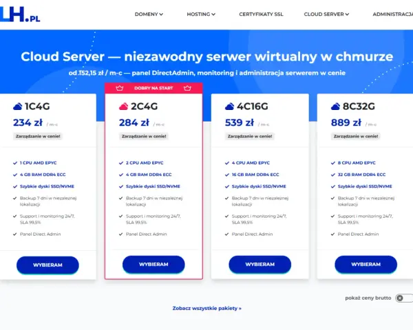 Oferta cloud serverów: co to jest i jakie są dostępne pakiety. Ceny od 234 zł/mc, z SSD/NVME i panelem Direct Admin.