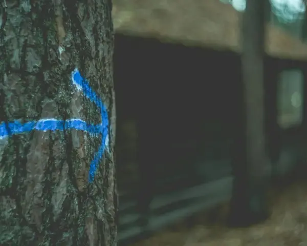Niebieska strzałka na korze drzewa wskazuje drogę, jakby to był tymczasowy przekierowanie 302 w lesie.