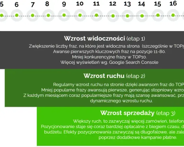 Schemat etapów pozycjonowania organicznego: wzrost widoczności, ruchu i sprzedaży.