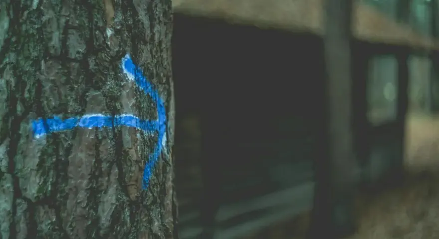 Niebieska strzałka na korze drzewa wskazuje drogę, jakby to był tymczasowy przekierowanie 302 w lesie.