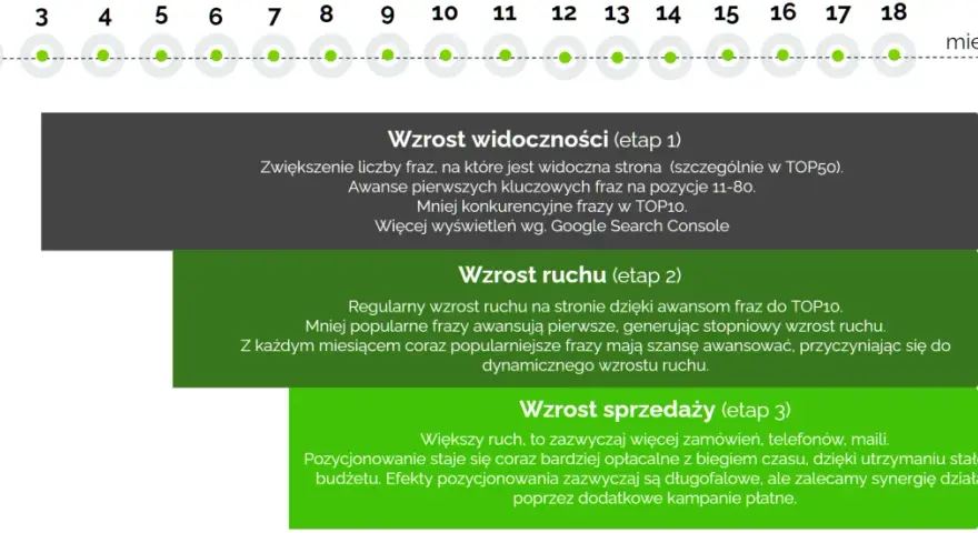 Schemat etapów pozycjonowania organicznego: wzrost widoczności, ruchu i sprzedaży.